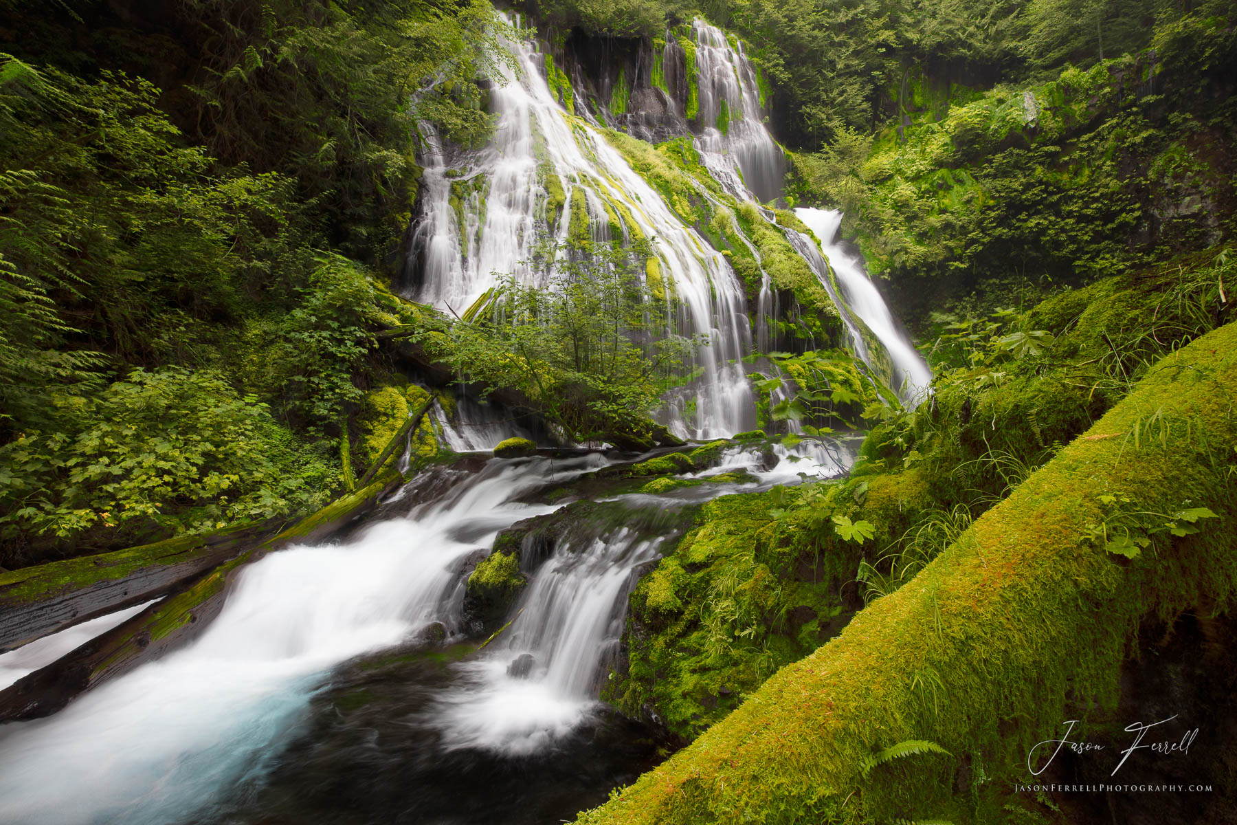 Panther's Beauty | Gifford Pinchot National Forest, Washington | Fine ...